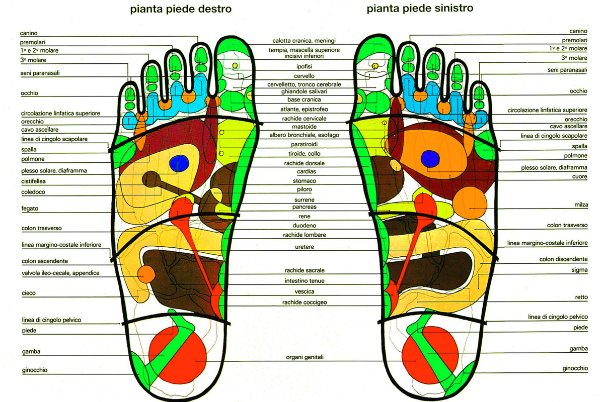 oasi del relax parabiago naturopatia riflessologia